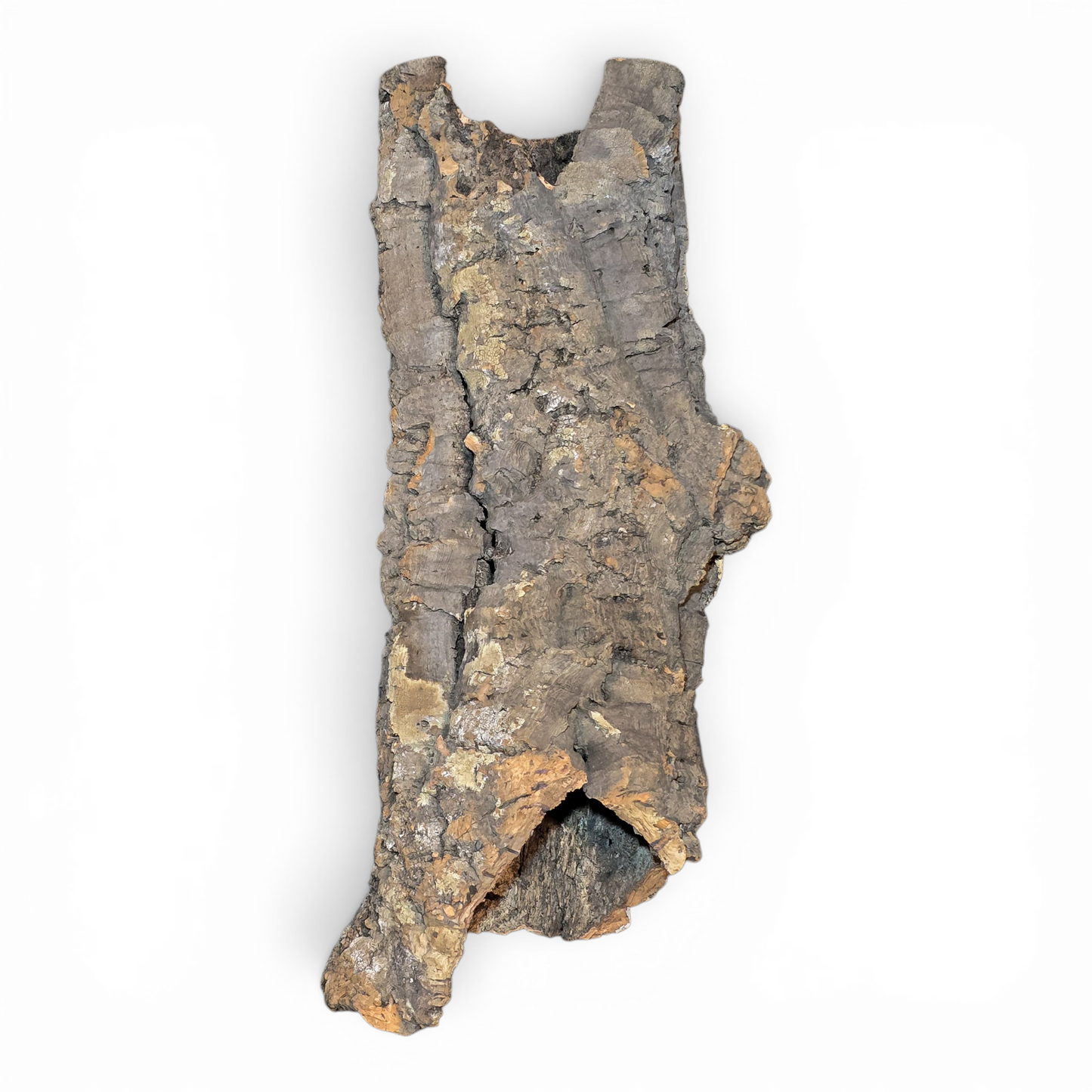 Natural Cork Bark Tube Hide for Reptiles & Terrariums | Large 16–24"