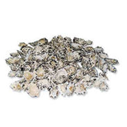 1 KG - Star Limpet Shells - 1 inch