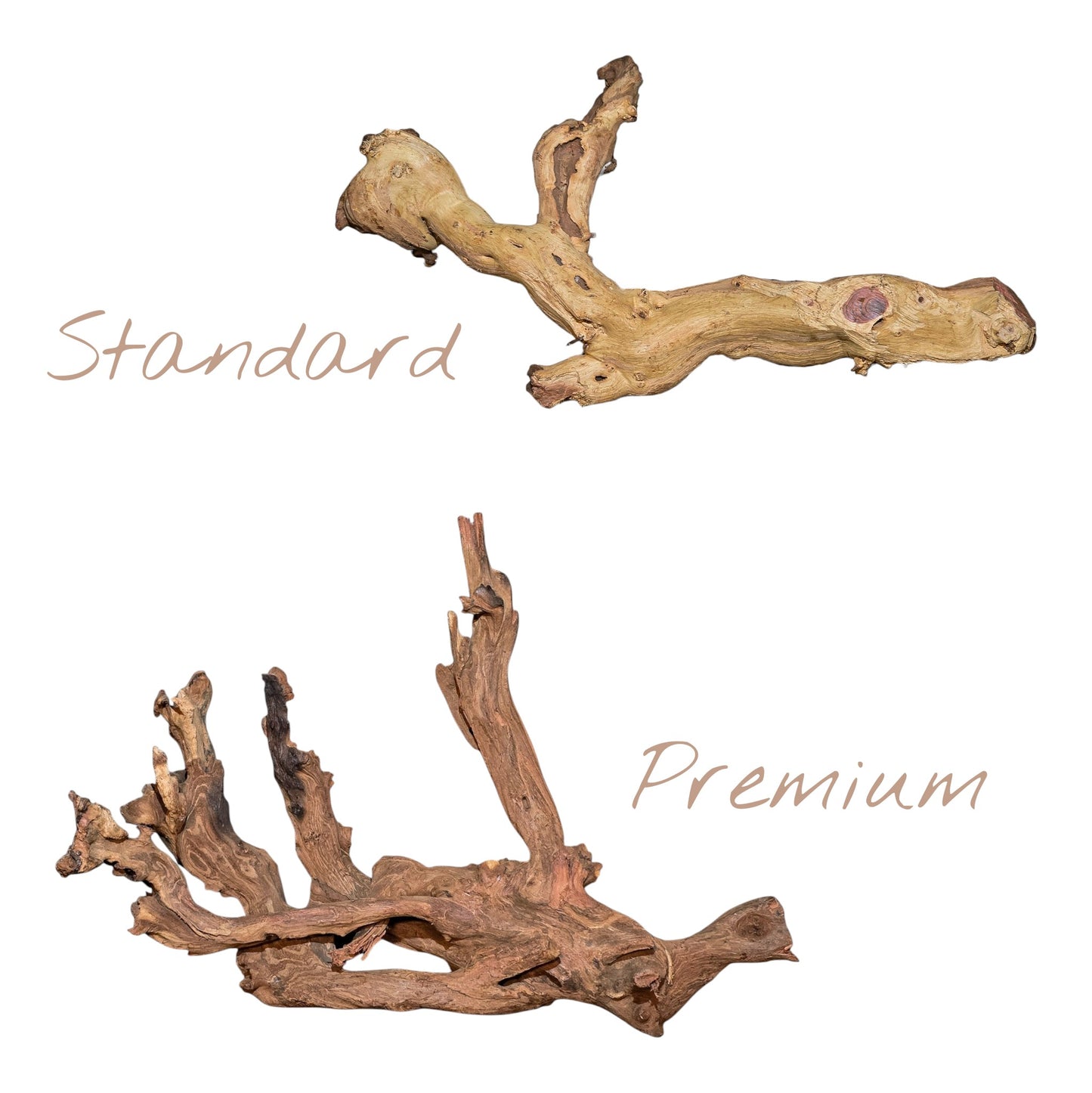 Mopani Driftwood Medium 14–20" | Aquarium & Terrarium Wood