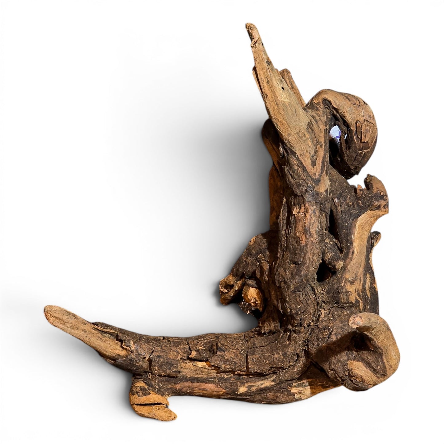 Mangrove Driftwood Small 8–14" | Aquarium & Terrarium Wood