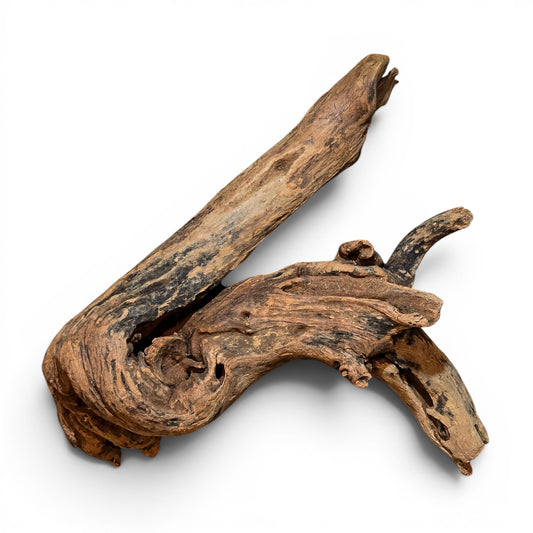 Mangrove Driftwood Small 8–14" | Aquarium & Terrarium Wood
