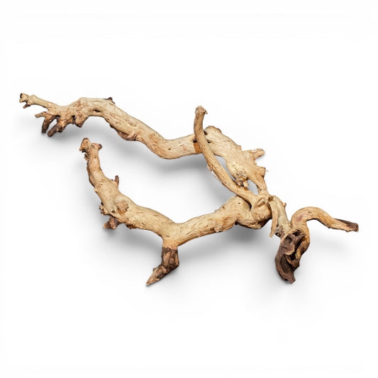 Mopani Driftwood Large 20–30" | Hand Selected Aquarium & Terrarium Wood