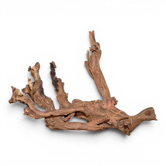 Mopani Driftwood Medium 14–20" | Aquarium & Terrarium Wood
