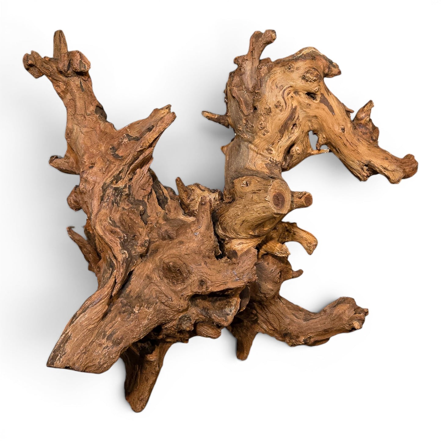 Mopani Driftwood Medium 14–20" | Aquarium & Terrarium Wood