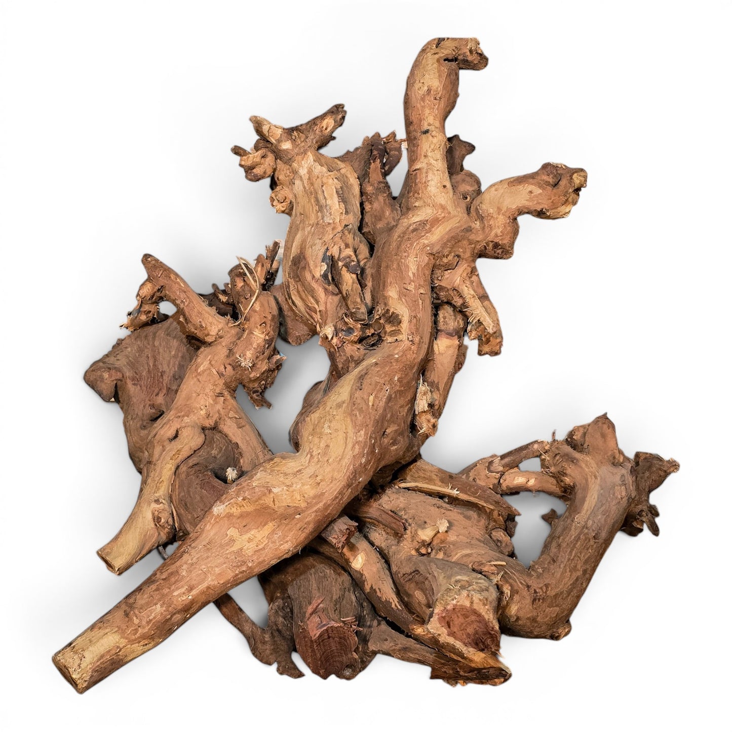Mopani Driftwood Medium 14–20" | Aquarium & Terrarium Wood