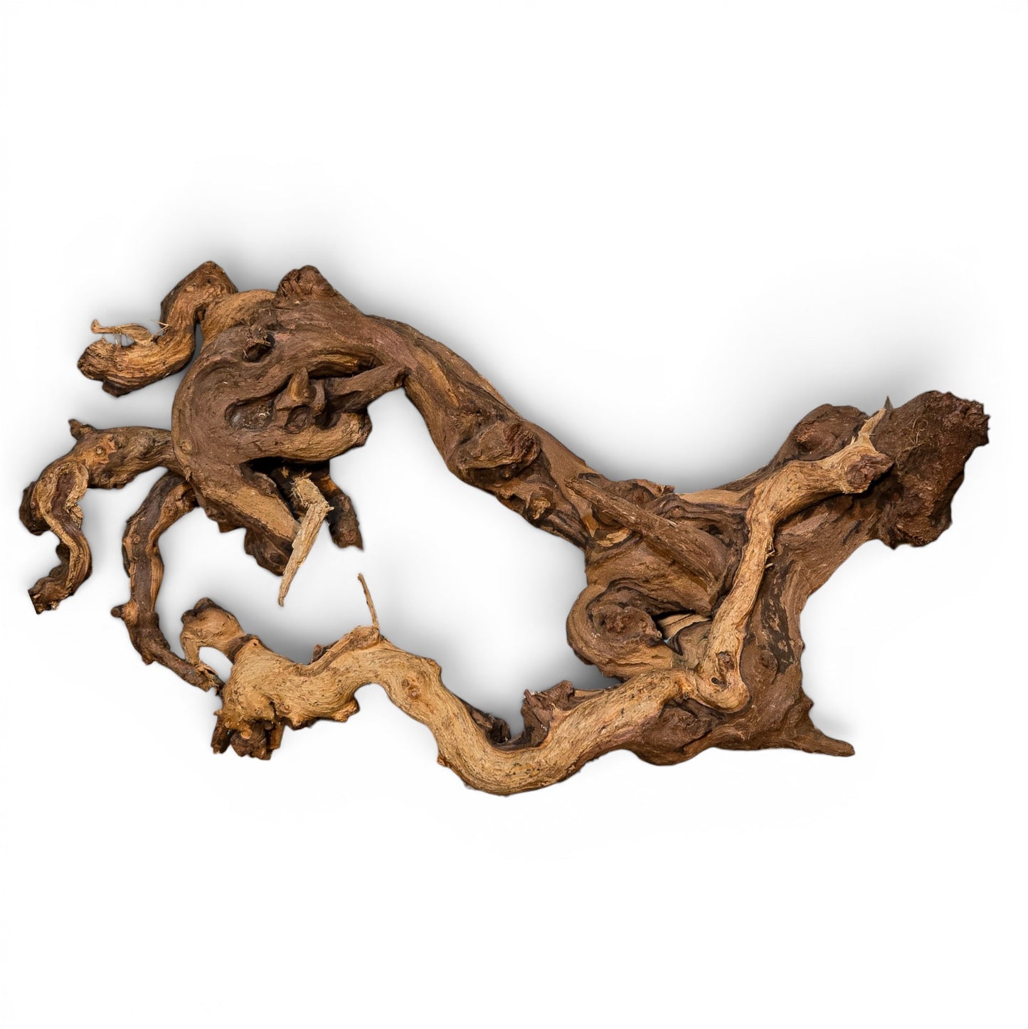 Mopani Driftwood Medium 14–20" | Aquarium & Terrarium Wood