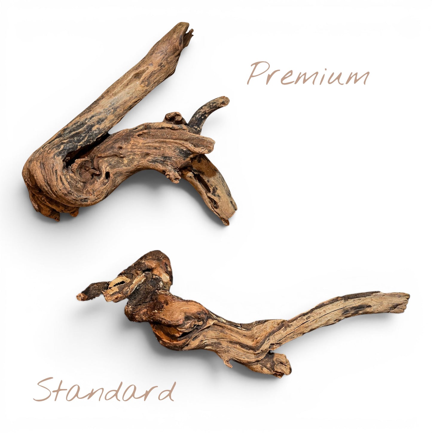 Mangrove Driftwood Small 8–14" | Aquarium & Terrarium Wood