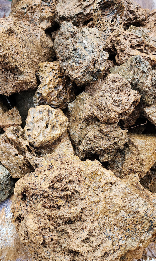 PIMPLE STONE  Rock - 10 to 15 cm - per lb. (Order in in multiples of 50) - NEW1023