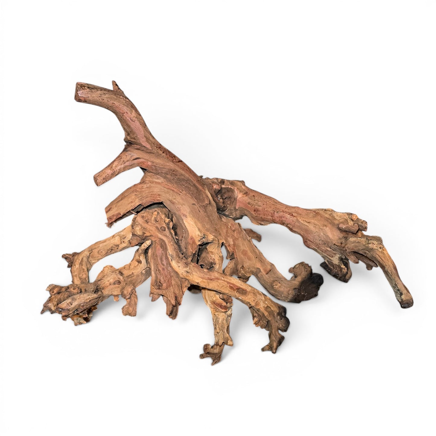 Mopani Driftwood Large 20–30" | Hand Selected Aquarium & Terrarium Wood