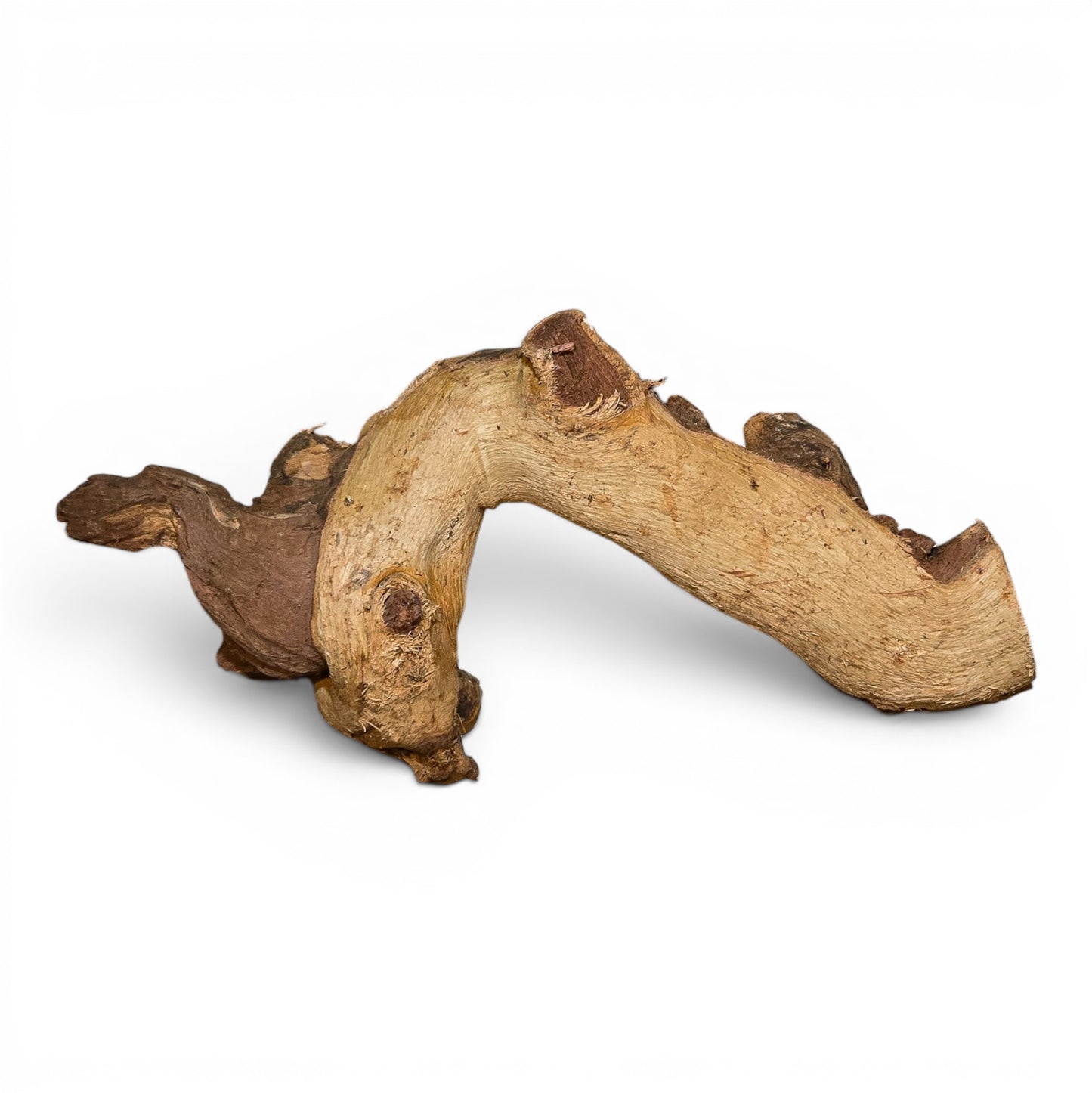 Mopani Driftwood Small 8-14" | Aquarium & Terrarium Wood