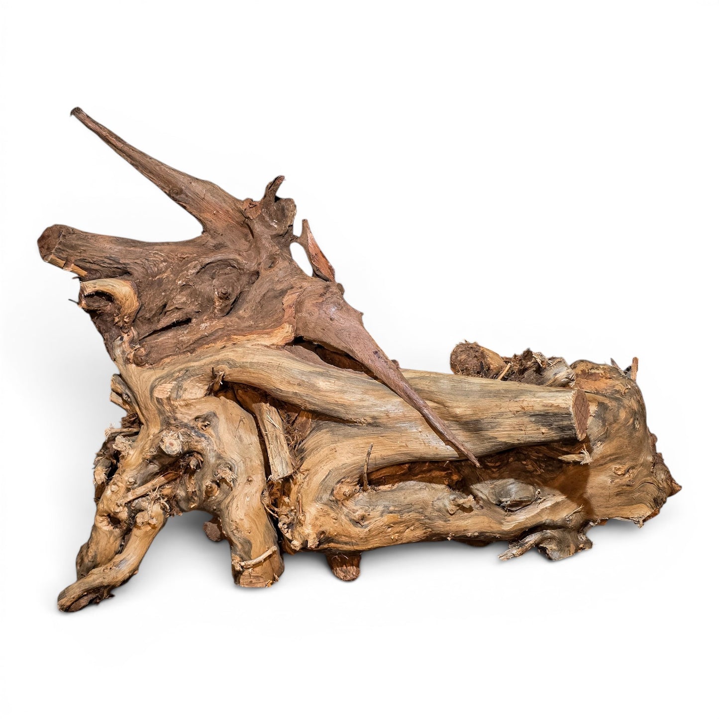 Mopani Driftwood Large 20–30" | Hand Selected Aquarium & Terrarium Wood