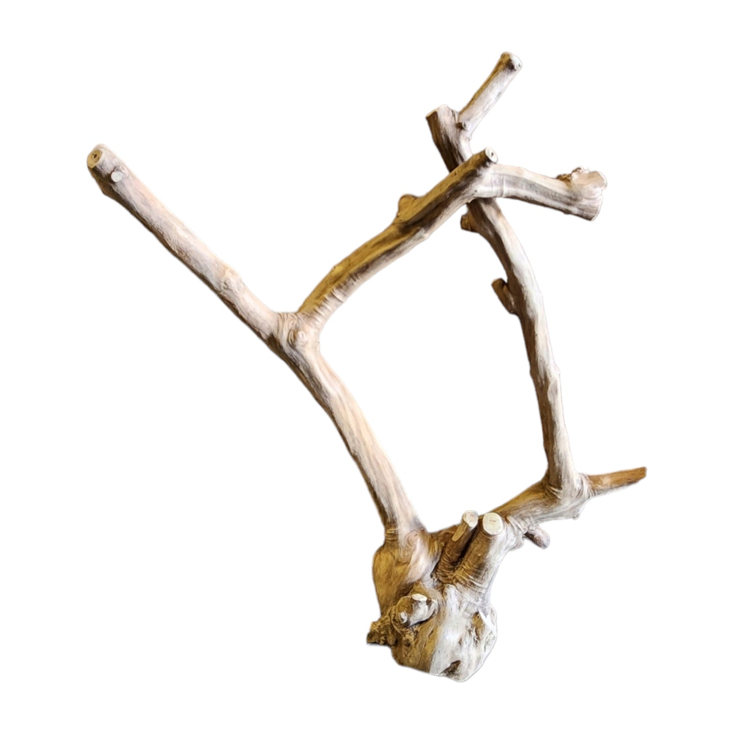 Coffee Tree Wood