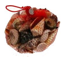 SA06 Assorted Seashells in Mesh Net Bag - 500 grams
