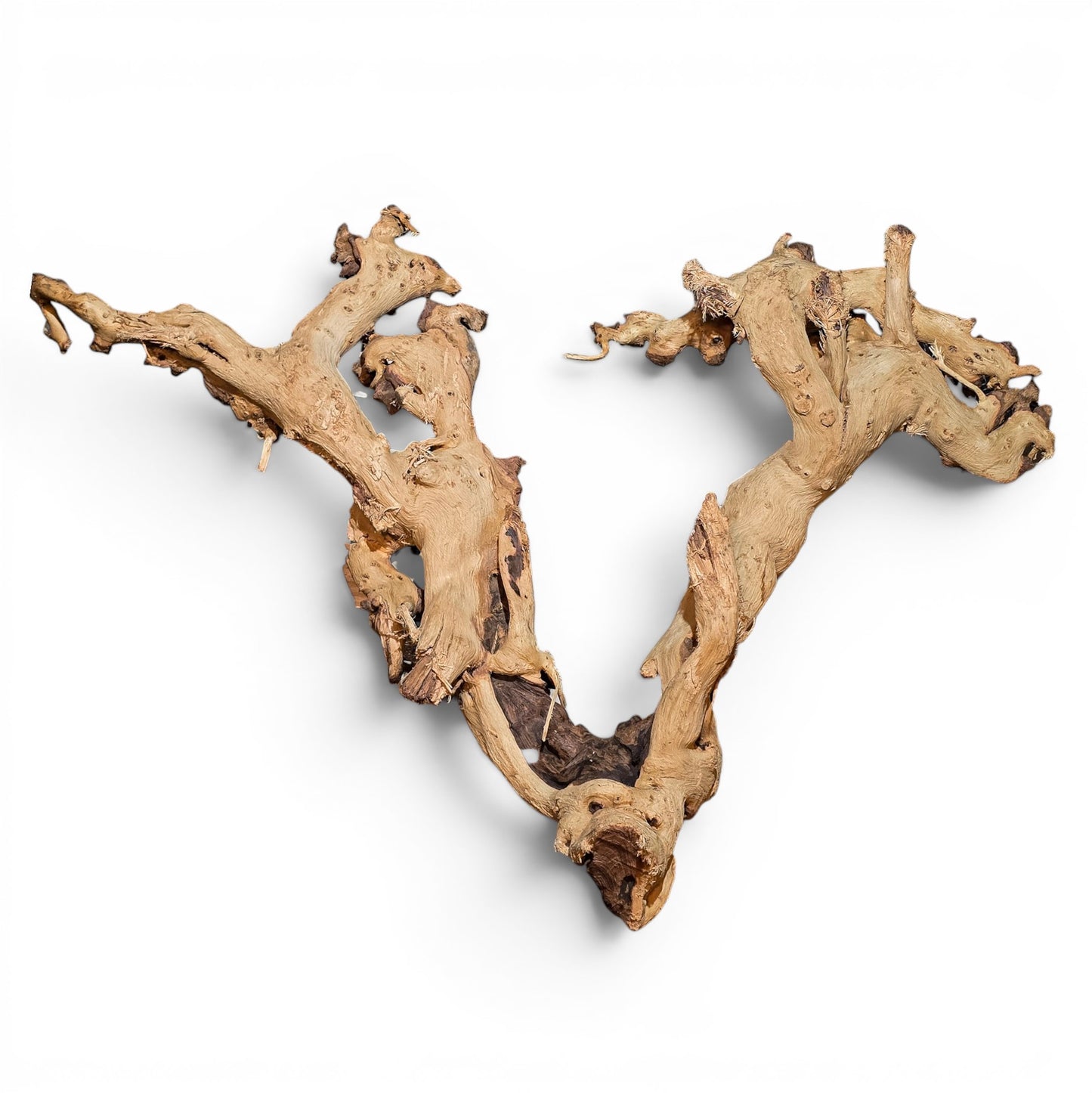 Mopani Driftwood Large 20–30" | Hand Selected Aquarium & Terrarium Wood