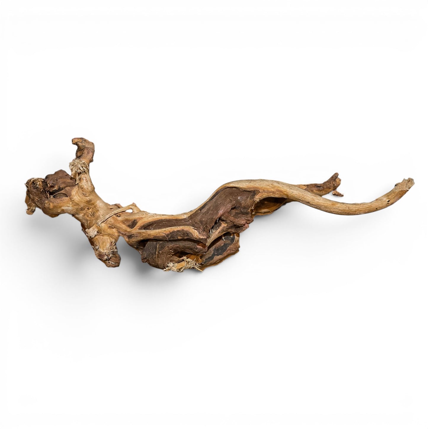 Mopani Driftwood Small 8-14" | Aquarium & Terrarium Wood