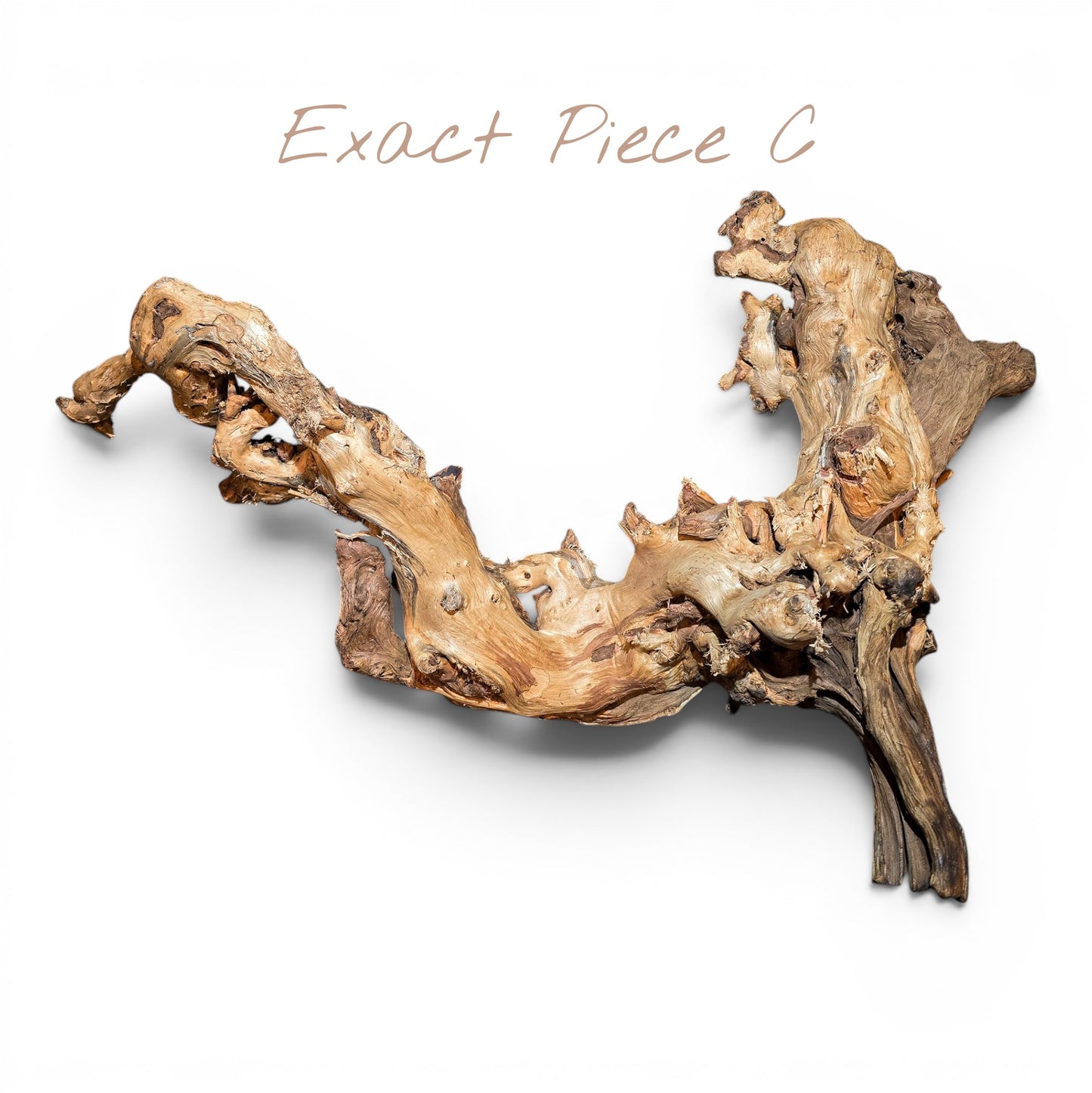 Mopani Driftwood Large 20–30" | Hand Selected Aquarium & Terrarium Wood