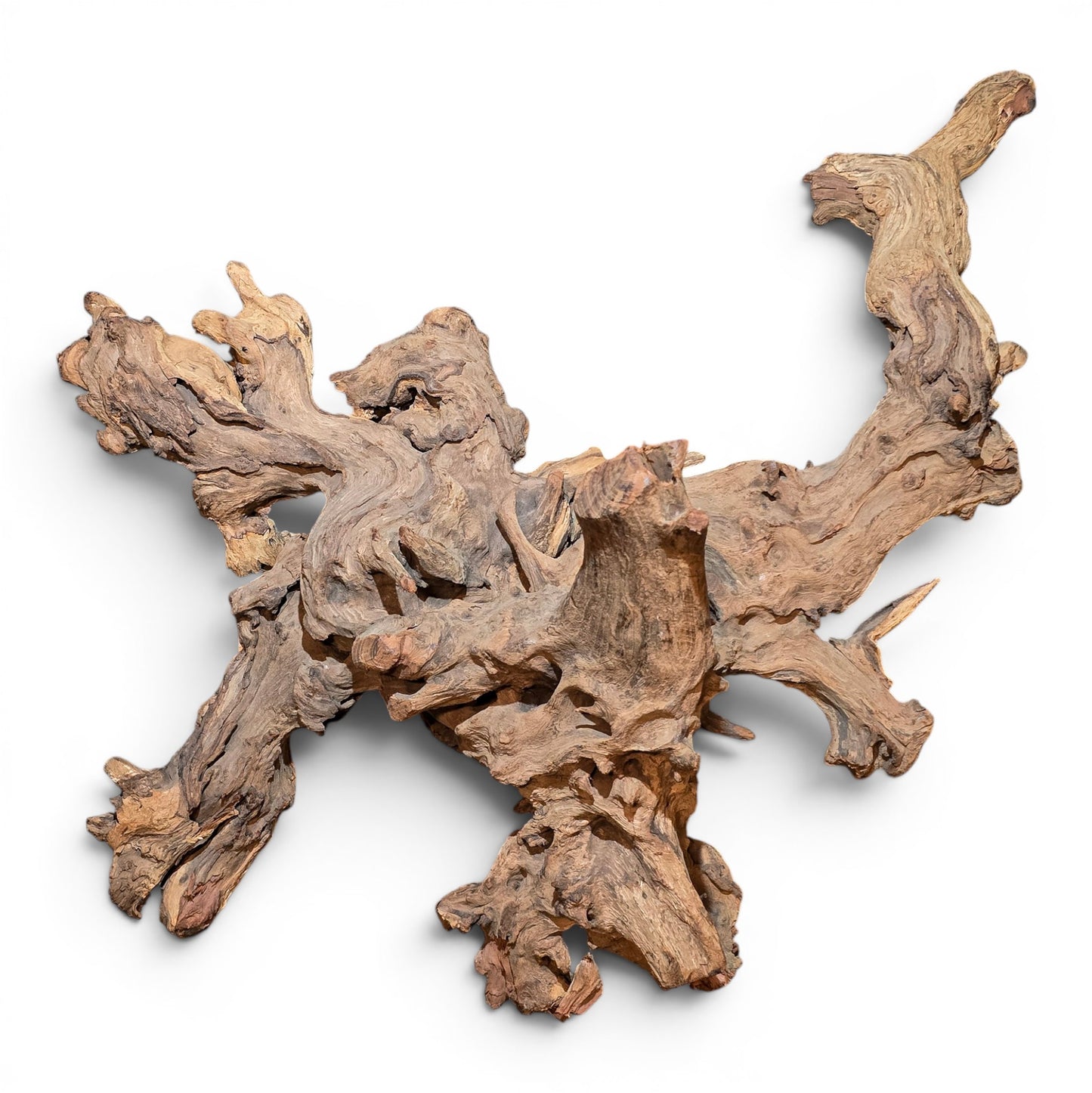 Mopani Driftwood Large 20–30" | Hand Selected Aquarium & Terrarium Wood