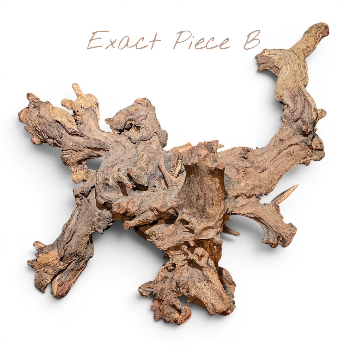 Mopani Driftwood Large 20–30" | Hand Selected Aquarium & Terrarium Wood