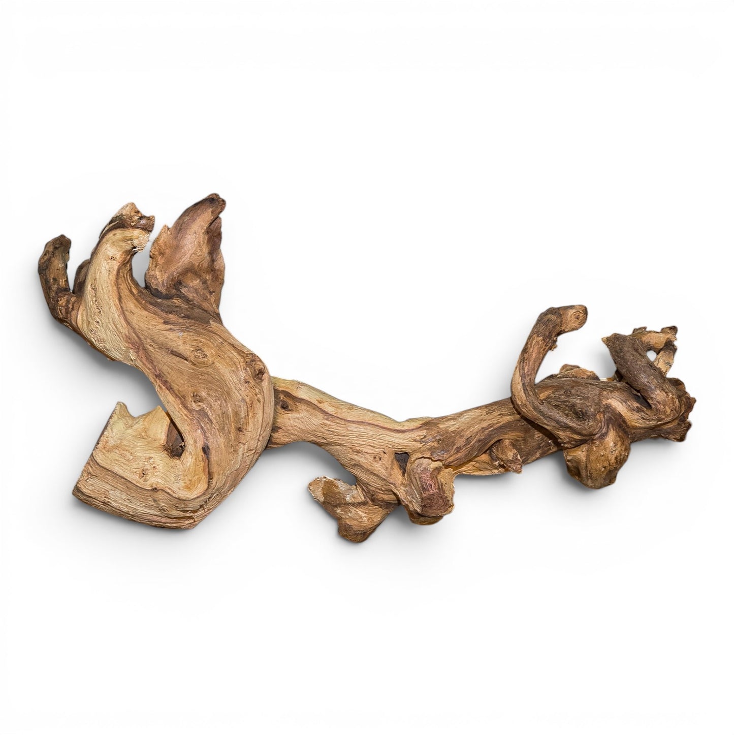 Mopani Driftwood Small 8-14" | Aquarium & Terrarium Wood
