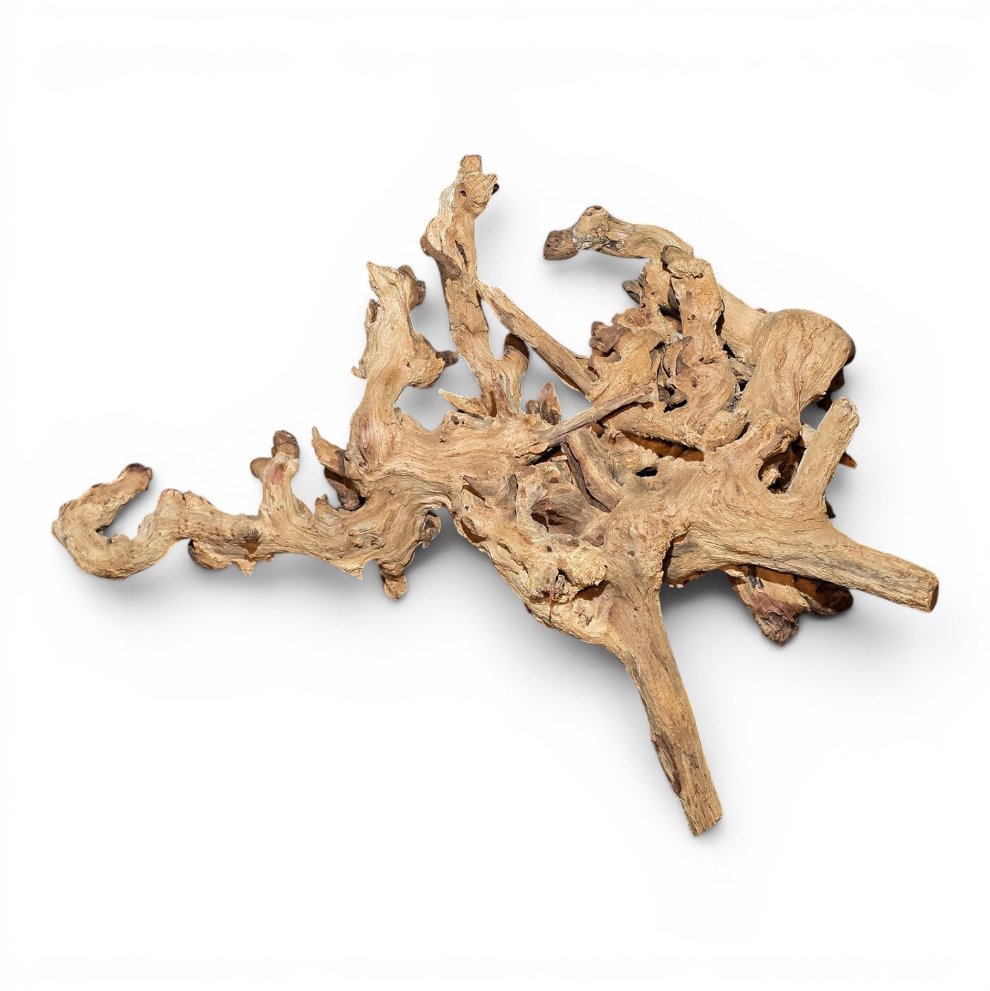 Mopani Driftwood Large 20–30" | Hand Selected Aquarium & Terrarium Wood