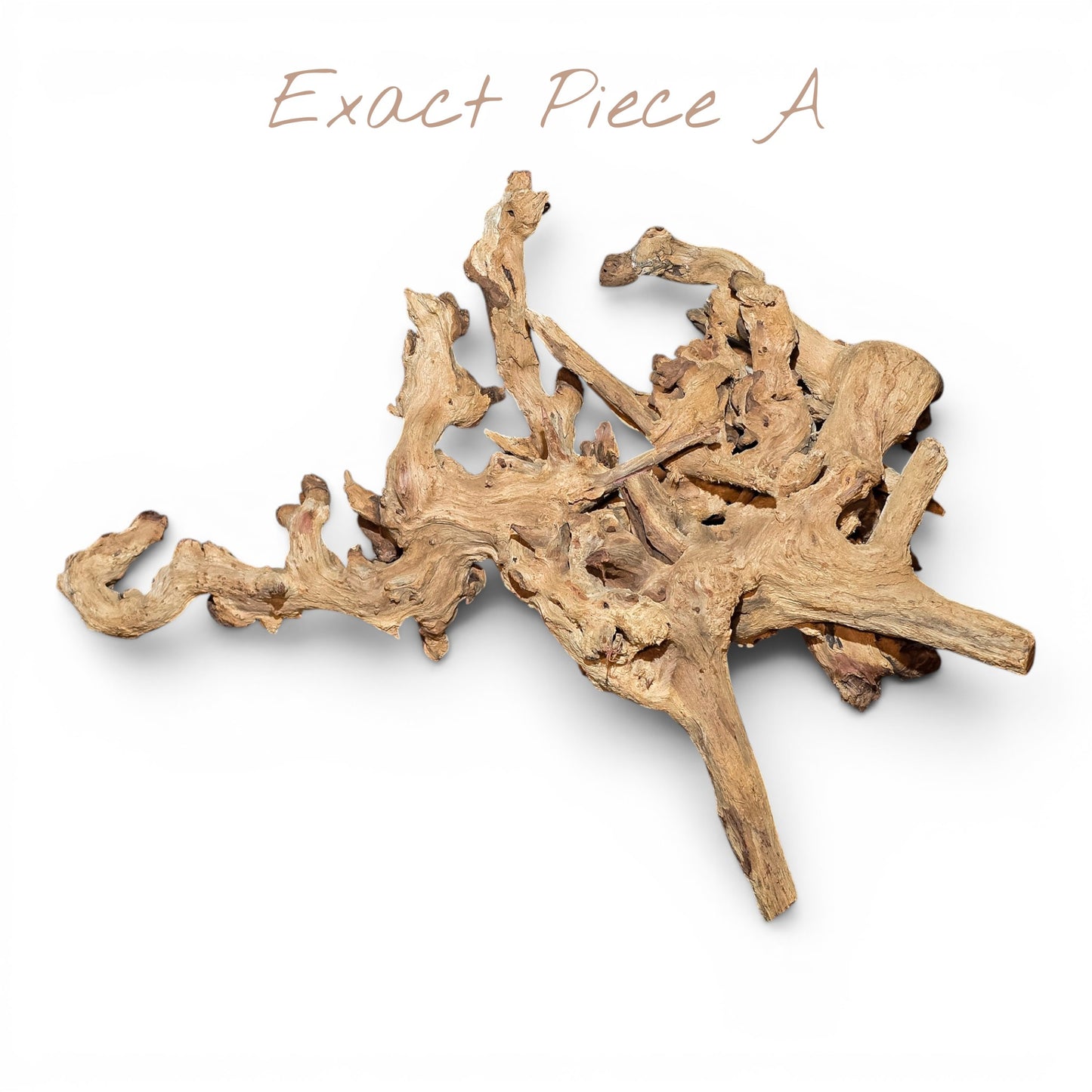 Mopani Driftwood Large 20–30" | Hand Selected Aquarium & Terrarium Wood
