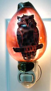 OWL  CARVED COWRIE NIGHTLIGHT