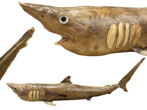 Whole Stuffed Shark - 30 - 35 inches