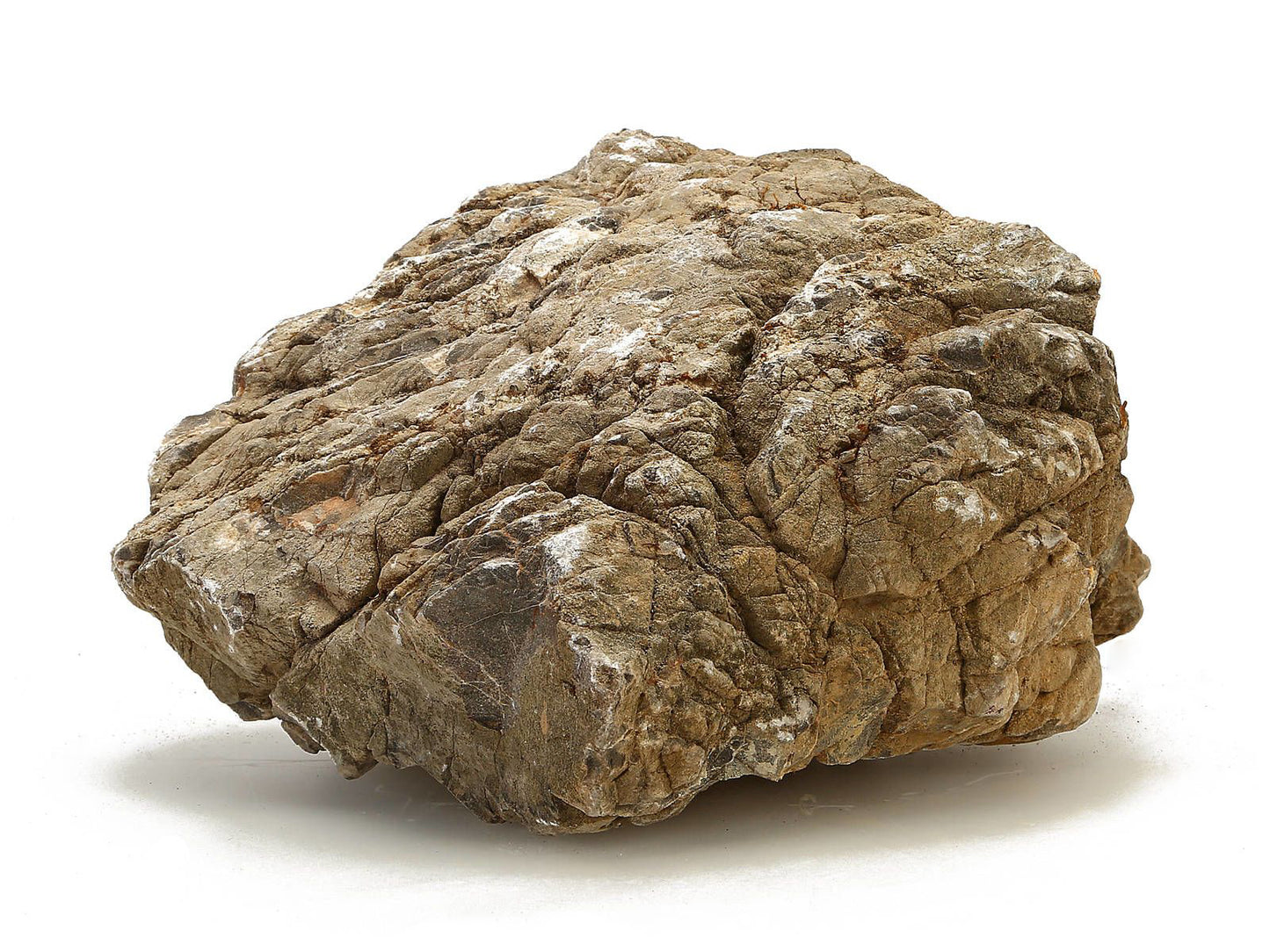 Elephant Skin Stone (Seegebirge) 10-30cm Aquarium Rock | Textured Aquascaping Stone (Per lb)
