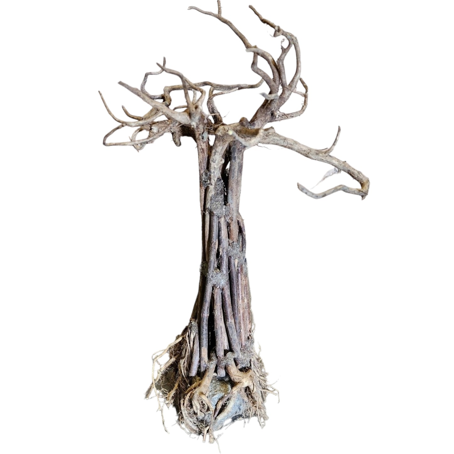 Tree Patu Driftwood