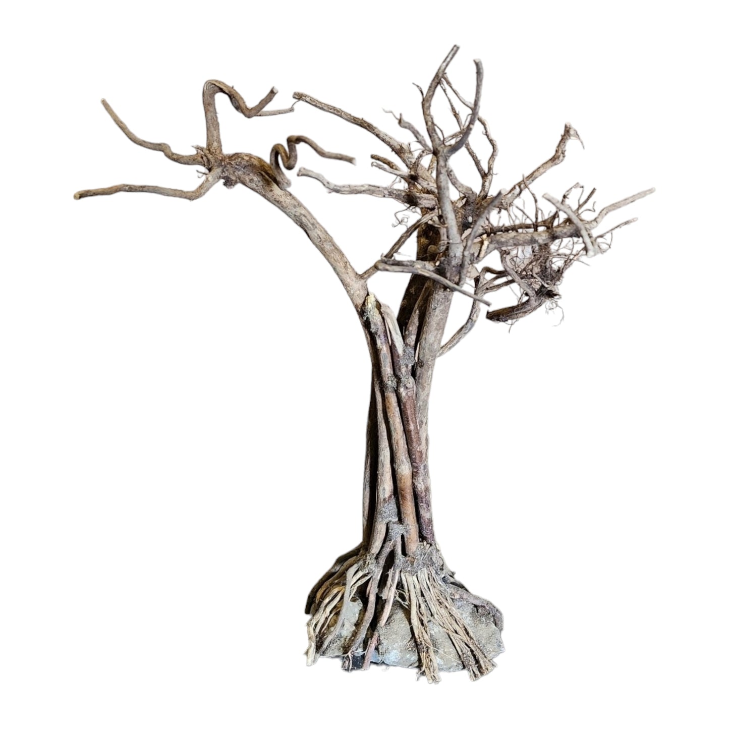 Tree Patu Driftwood