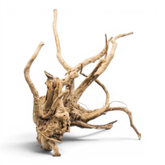 Spiderwood Driftwood – Medium (12–17”) | Natural Aquascaping Wood