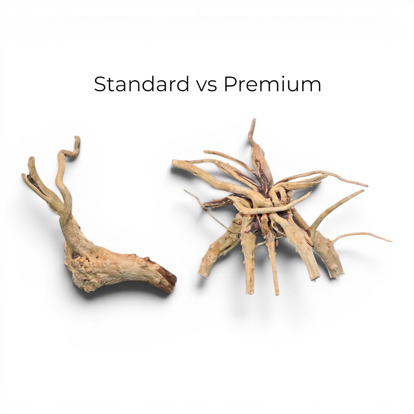 Spiderwood Driftwood - Small (7-12")