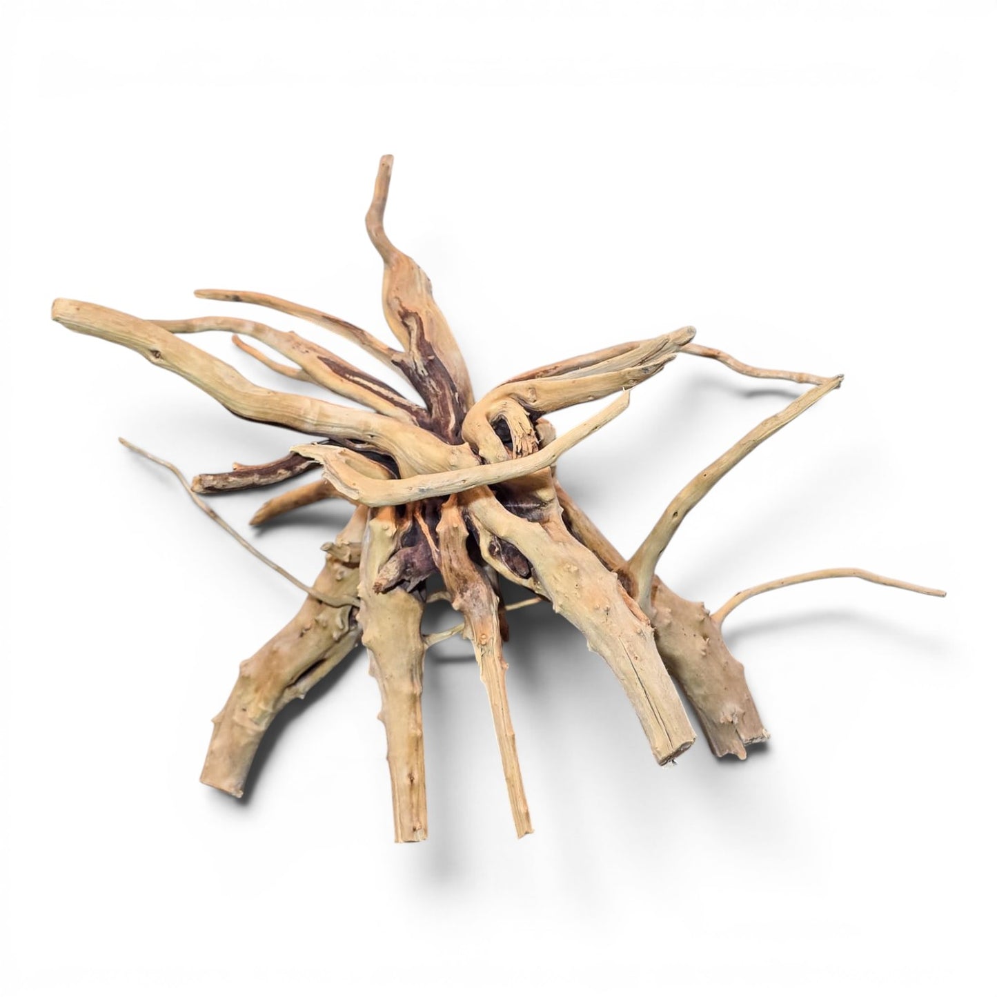 Spiderwood Driftwood - Small (7-12")
