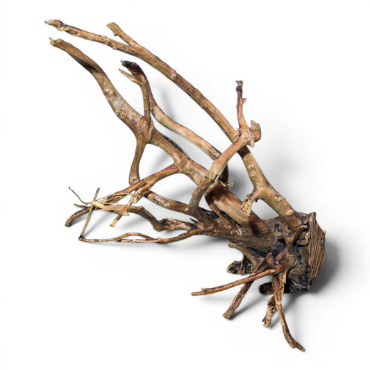 Spiderwood Driftwood – Large (17–25”) | Natural Aquascaping Wood