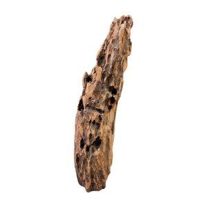 Textured Indonesian Driftwood