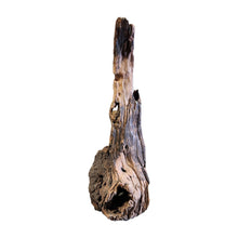 Load image into Gallery viewer, Textured Indonesian Driftwood
