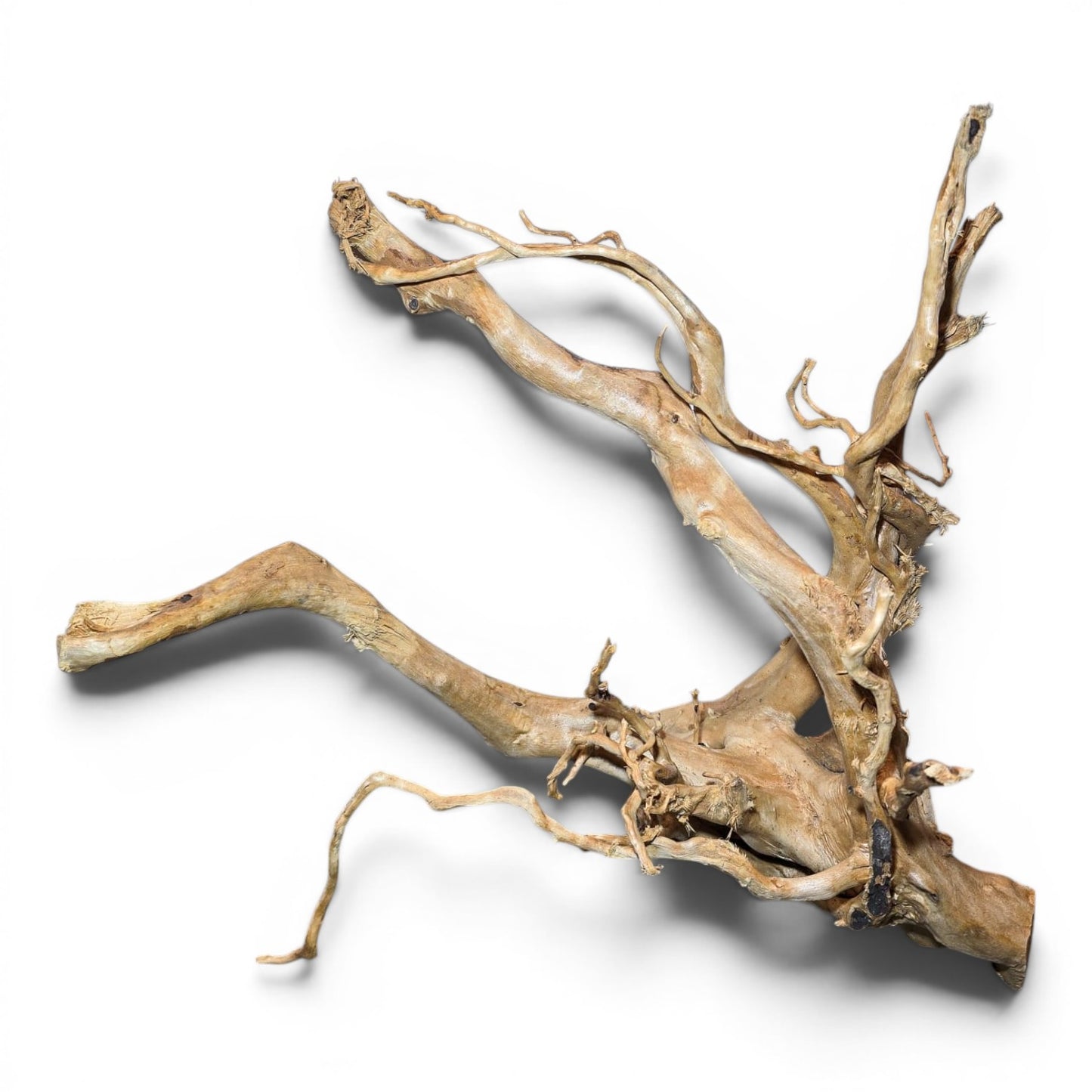 Spiderwood Driftwood – Large (17–25”) | Natural Aquascaping Wood
