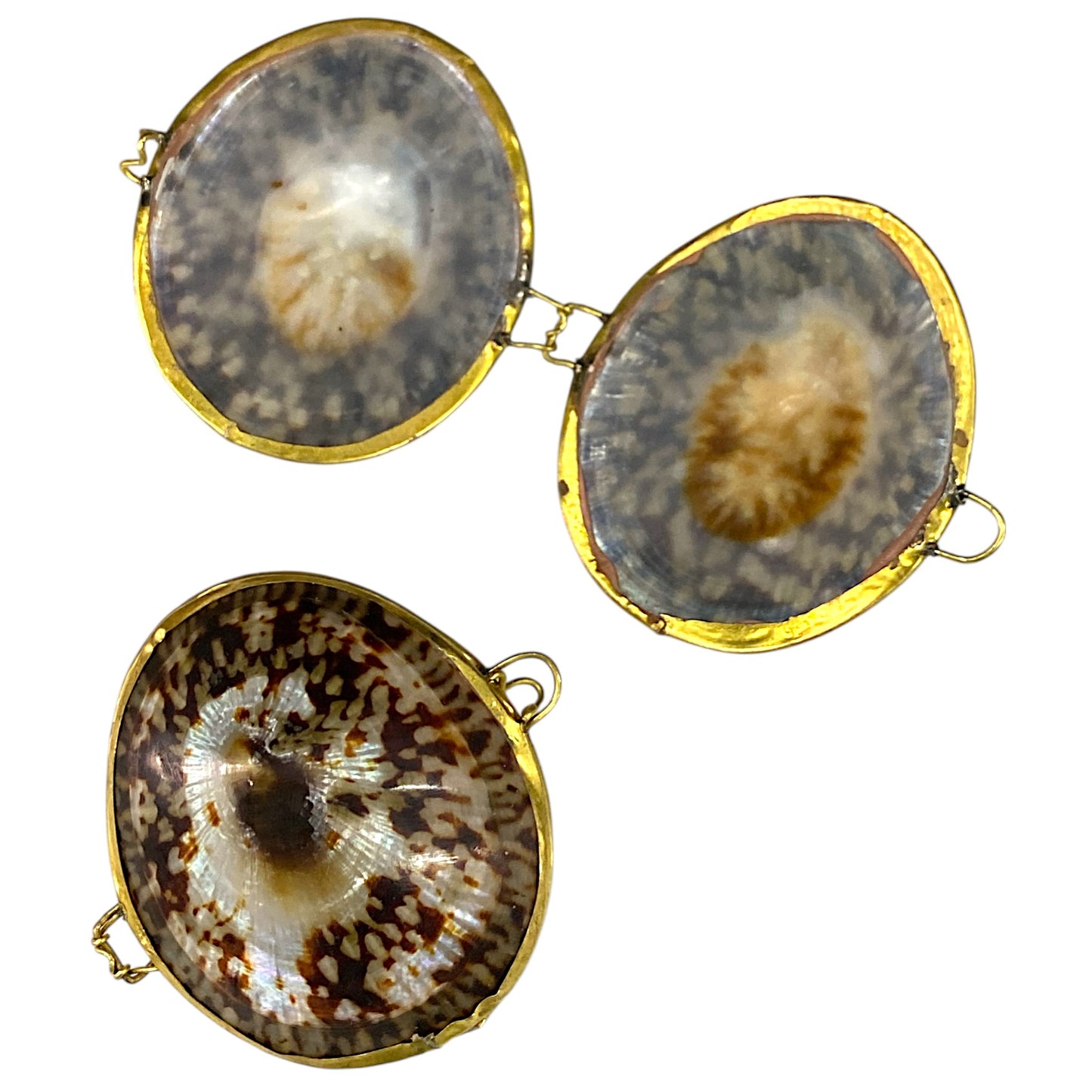 ASSORTED SEA SHELL COIN - SMUDGE or PILL BOXES 2 - 3 inch - Polished Limpet Shells - NEW723
