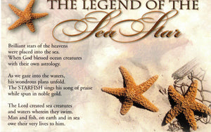 Jungle Starfish (2 - 3 inches) With Legend Postcard