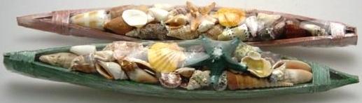 Shell Canoe CANOE SHELL PACK ASSORTED SHELLS – HermitCrabShells.ca