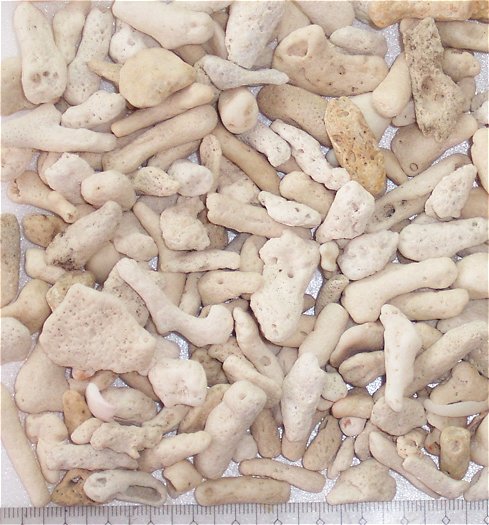 CALCIUM SAND #3 Small - PB1 JAR