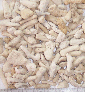 CALCIUM SAND #3 Small - PB1 JAR