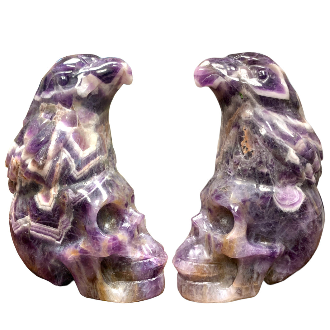 Skull 5.25