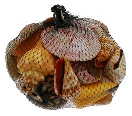 SA06D Assorted Polished Seashells in Mesh Net Bag - 500 grams
