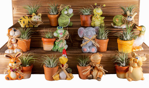 Tillandsia Planters - Assorted Cute Animals 12/PK