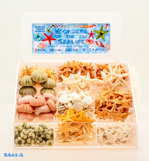 SEALIFE - 12 POCKET DISPLAY With 12 TYPES of Sea life