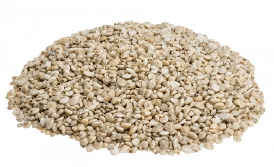 1 KG - White Umbonium - 3/8 - 0.5 inches