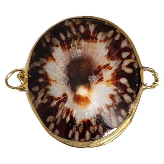 ASSORTED SEA SHELL COIN - SMUDGE or PILL BOXES 2 - 3 inch - Polished Limpet Shells - NEW723