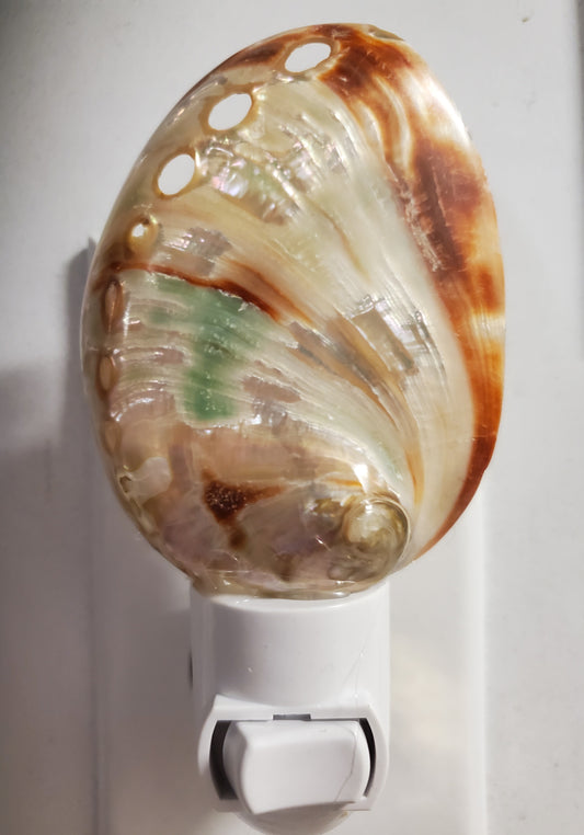 NL34P RED POLISHED ABALONE NIGHTLIGHT