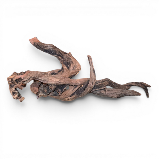 Malaysian Mangrove Driftwood Large 20–30" | Natural Aquarium & Terrarium Wood